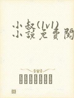 小叔(1v1)小说免费阅读