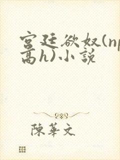 宫廷欲奴(np高h)小说