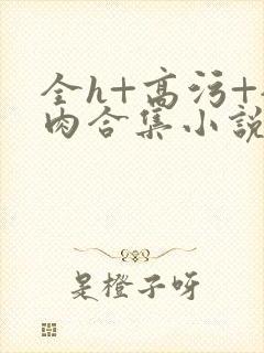 全h+高污+全肉合集小说封面