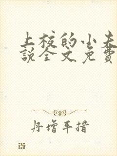 上校的小夫人小说全文免费阅读