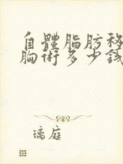 自体脂肪移植丰胸术多少钱