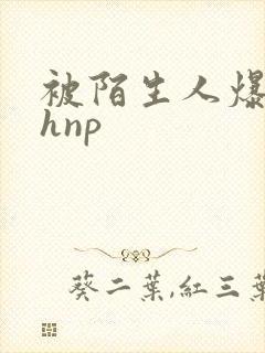 被陌生人爆c高hnp