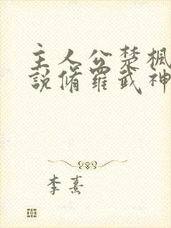 主人公楚枫的小说修罗武神