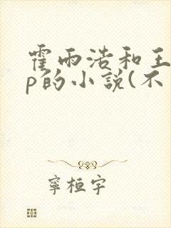 霍雨浩和王冬cp的小说(不是唐舞桐)