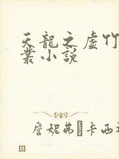 天龙之虚竹戏花丛小说