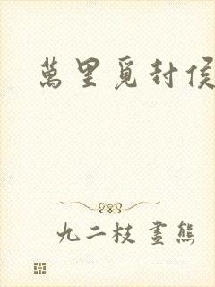 万里觅封侯小说