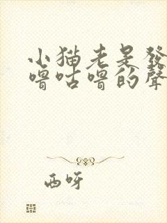 小猫老是发出咕噜咕噜的声音,怎么回事