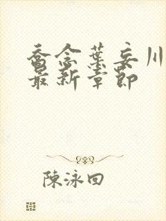 乔念叶妄川小说最新章节