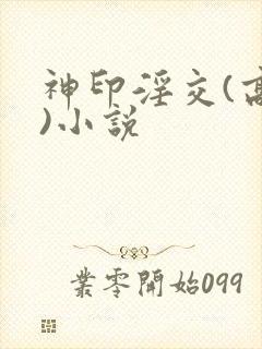 神印淫交(高h)小说封面