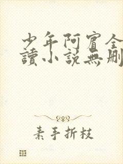 少年阿宾全文阅读小说无删减