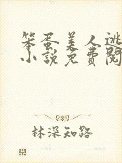 笨蛋美人逃婚后小说免费阅读