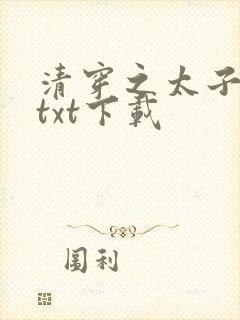 清穿之太子娇妃txt下载
