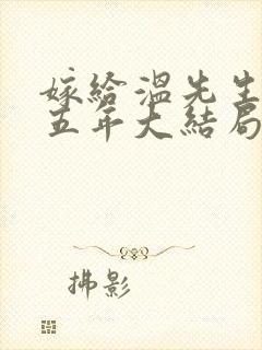 嫁给温先生的第五年大结局小说