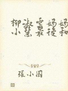 柳淑云妈妈小宇小慧最后和谁在一起