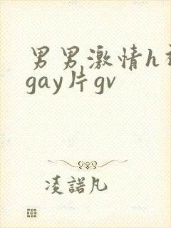 男男激情h视频gay片gv