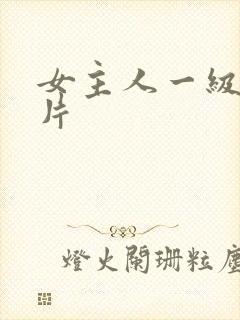 女主人一级黄色片