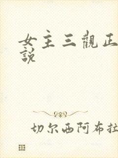 女主三观正的小说