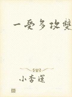 一受多攻双性受