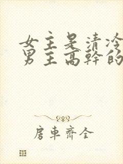 女主是清冷医生男主高干的文