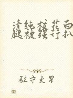 清纯校花白丝双腿被强行扒开