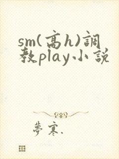 sm(高h)调教play小说封面