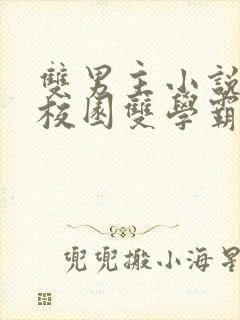 双男主小说推文校园双学霸