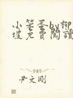 小笨蛋by柳满坡免费阅读全文