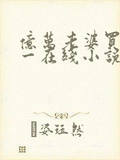 亿万老婆买一送一在线小说