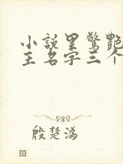 小说里惊艳的女主名字三个字