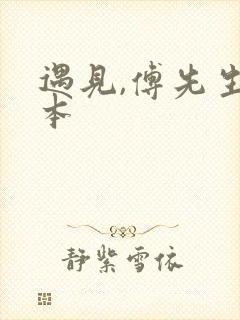 遇见,傅先生完本