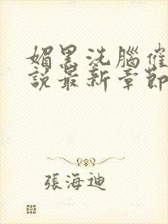 媚黑洗脑催眠小说最新章节更新内容