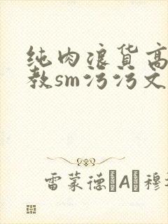 纯肉浪货高h调教sm污污文