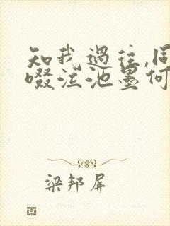 知我过往,同我啜泣池墨何枝