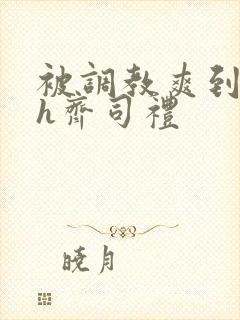 被调教爽到失禁h齐司礼