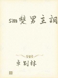 sm双男主调教封面