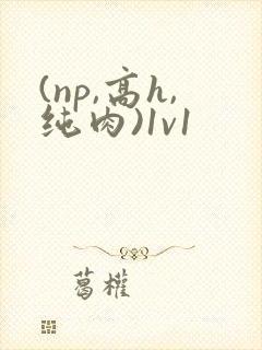 (np,高h,纯肉)1v1