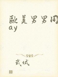 欧美男男同性gay