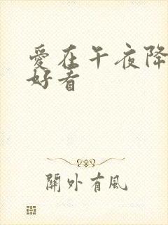 爱在午夜降临前好看封面