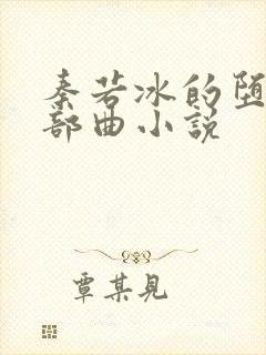 秦若冰的堕落三部曲小说