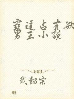 霸道占有欲强的男主小说封面