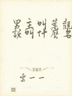 男主叫叶观的小说叫什么名字