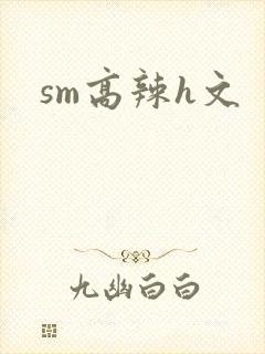 sm高辣h文