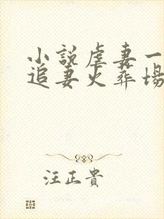 小说虐妻一时爽追妻火葬场