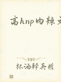 高hnp肉辣文