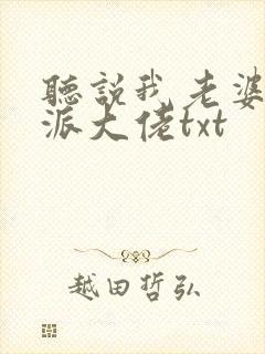 听说我老婆是反派大佬txt