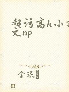 超污高h小说辣文np