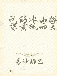 我的冰山总裁老婆黄枫雨天