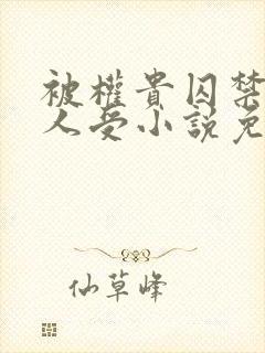 被权贵囚禁的美人受小说免费阅读下