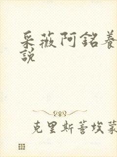 采薇阿铭养父小说