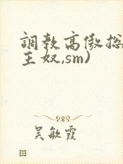 调教高傲总裁(主奴,sm)